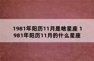 1981年阳历11月是啥星座 1981年阳历11月的什么星座